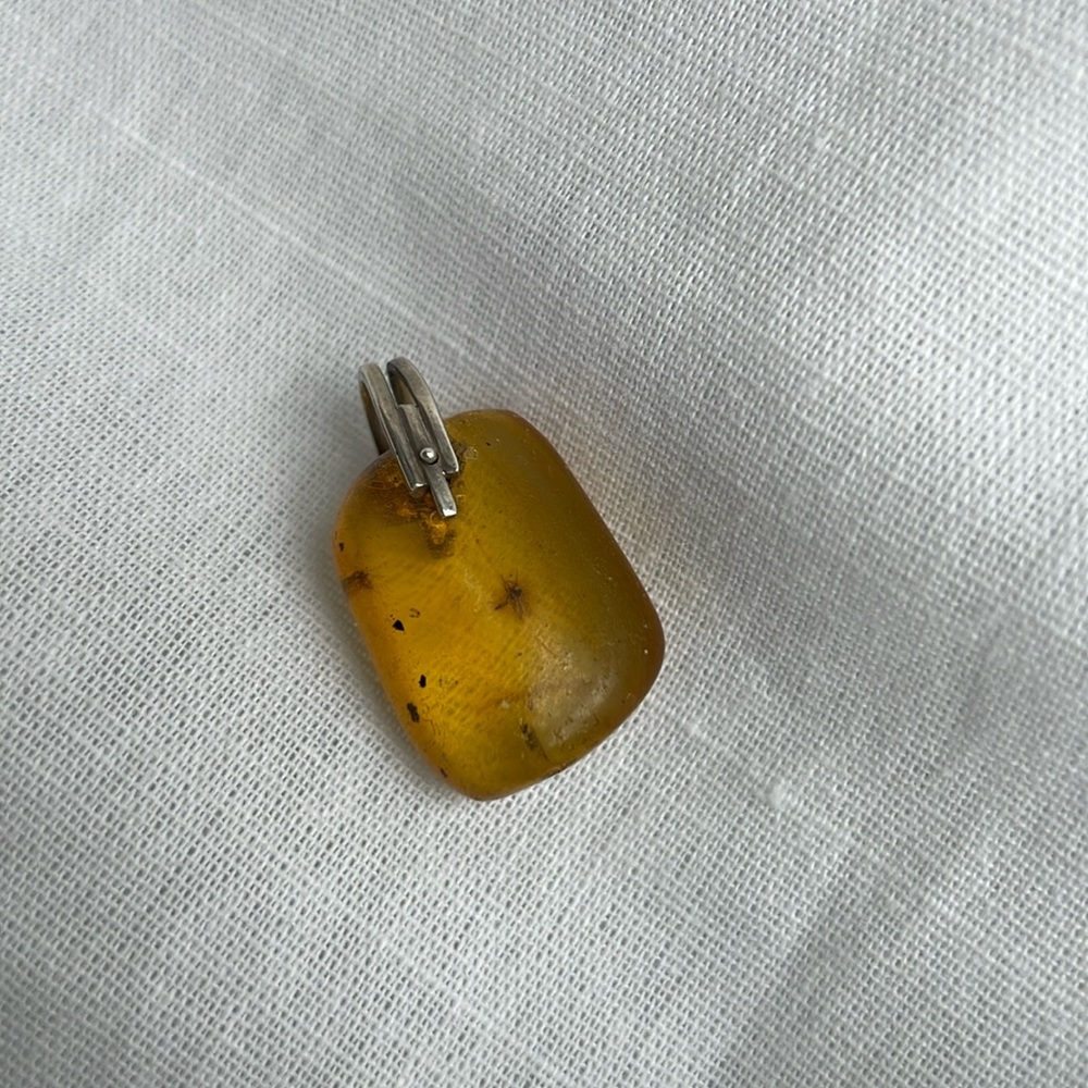 LIL PEEHISTORIC BUG SUSPENDED IN AMBER